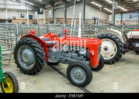 Roten Massey Ferguson 35 X bei Oldtimer-Traktor zeigen Stockfoto