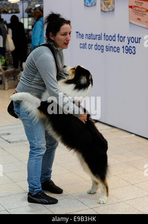 Brno, Tschechische Republik. 23. Oktober 2014. Der European Dog Show für Hunde aller Rassen beginnt in Brünn, Tschechien am Donnerstag, 23. Oktober 2014. Bildnachweis: Vaclav Salek/CTK Foto/Alamy Live-Nachrichten Stockfoto