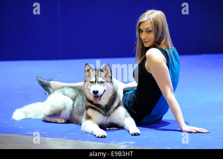 Brno, Tschechische Republik. 23. Oktober 2014. Der European Dog Show für Hunde aller Rassen beginnt in Brünn, Tschechien am Donnerstag, 23. Oktober 2014. Bildnachweis: Vaclav Salek/CTK Foto/Alamy Live-Nachrichten Stockfoto