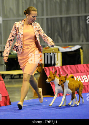 Brno, Tschechische Republik. 23. Oktober 2014. Der European Dog Show für Hunde aller Rassen beginnt in Brünn, Tschechien am Donnerstag, 23. Oktober 2014. Bildnachweis: Vaclav Salek/CTK Foto/Alamy Live-Nachrichten Stockfoto