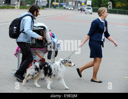 Brno, Tschechische Republik. 23. Oktober 2014. Der European Dog Show für Hunde aller Rassen beginnt in Brünn, Tschechien am Donnerstag, 23. Oktober 2014. Bildnachweis: Vaclav Salek/CTK Foto/Alamy Live-Nachrichten Stockfoto