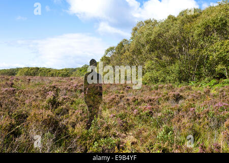 Leben Größe reflektierende Installation von Rob Mulholland am Taynish National Nature Reserve, Knapdale, Argyll & Bute, Scotland UK Stockfoto