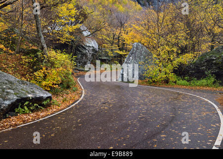 Kurvenreiche Straße durch Felsbrocken im Schmuggler Notch State Park in der Nähe von Stowe Vermont USA mit Herbst Baum Laub Stockfoto