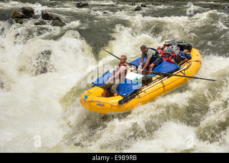 Wildwasser-rafting-Spaß auf der Wild & Scenic Rogue River in Oregon Stockfoto