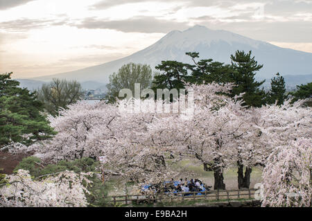 Landschaft von Mount Iwate aus Hirosaki Schlosspark mit Hanami Partei unter voller blühender Sakura Kirsche Bäume. Stockfoto