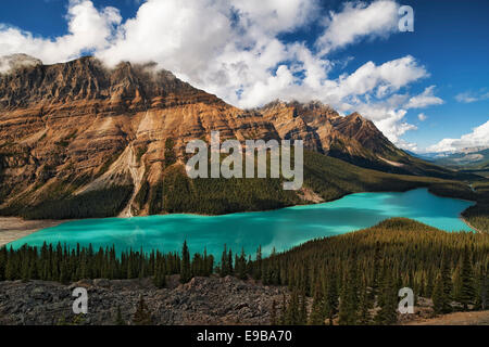 Spektakuläre türkise Farbe der Peyto Lake in Alberta die kanadischen Rockies und Banff Nationalpark von Bow Summit. Stockfoto