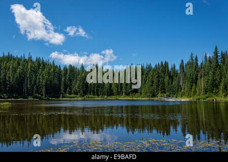 Waldo Lake Wilderness, Cascade Mountains, Salmon Lake, Oregon zu senken. Stockfoto