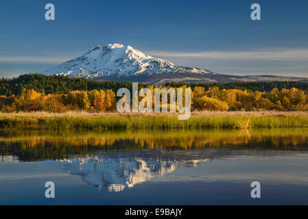 Mount Adams und Trout Lake Creek aus Forellen See natürliche Bereich Konserve, Washington. Stockfoto