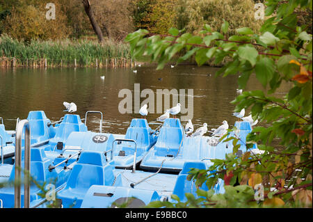 Tretboot fahren auf dem See im Regents Park, London festgemacht. Stockfoto