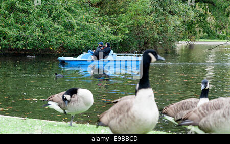 Bootfahren auf dem See im Regents Park, Royal Park in London. Stockfoto