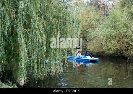 Bootfahren auf dem See im Regents Park, Royal Park in London. Stockfoto