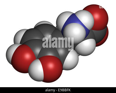 L-Dopa (Levodopa) der Parkinson-Krankheit Wirkstoffmolekül. Atome sind als Kugeln mit konventionellen Farbcodierung vertreten: Wasserstoff () Stockfoto