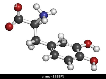 L-Dopa (Levodopa) der Parkinson-Krankheit Wirkstoffmolekül. Atome sind als Kugeln mit konventionellen Farbcodierung vertreten: Wasserstoff () Stockfoto