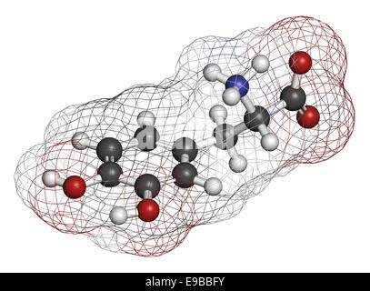 L-Dopa (Levodopa) der Parkinson-Krankheit Wirkstoffmolekül. Atome sind als Kugeln mit konventionellen Farbcodierung vertreten: Wasserstoff () Stockfoto