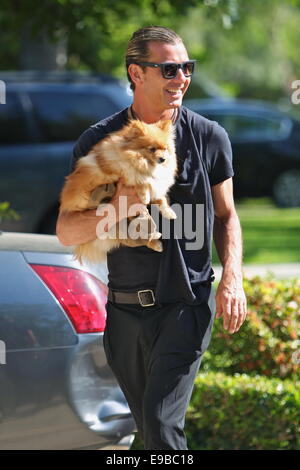 Gwen Stefani mit ihrer Familie und ihren Pommerschen Hund namens Chewy auf Ostern Sonntag mit: Gavin Rossdale wo: Los Angeles, California, Vereinigte Staaten von Amerika bei: 20. April 2014 Stockfoto