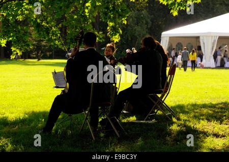 Ein Streichquartett spielt auf einer Gartenparty in Kirov Park, St. Petersburg Stockfoto