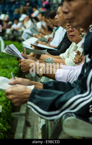 Pferderennen in Sha Tin Park, Hong Kong Stockfoto