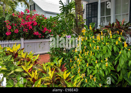 Key West Florida, Keys Frances Street, Haushäuser Häuser Häuser Häuser Residenz, Haus, private Residenz, weißer Zaun, tropische Landschaftsgestaltung vegetatio Stockfoto