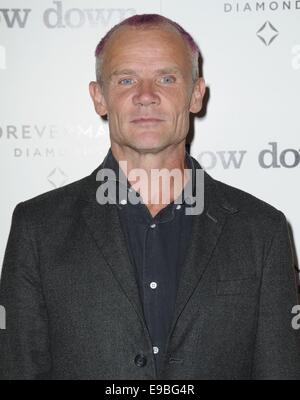 Los Angeles, CA, USA. 23. Oktober 2014. Floh im Ankunftsbereich für LOW DOWN Premiere, Arclight Hollywood, Los Angeles, CA 23. Oktober 2014. Bildnachweis: Dee Cercone/Everett Collection/Alamy Live-Nachrichten Stockfoto