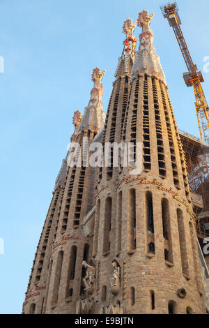 Barcelona, Spanien - 26. August 2014: Sagrada Familia. Die Kathedrale von Antoni Gaudi entworfen Stockfoto