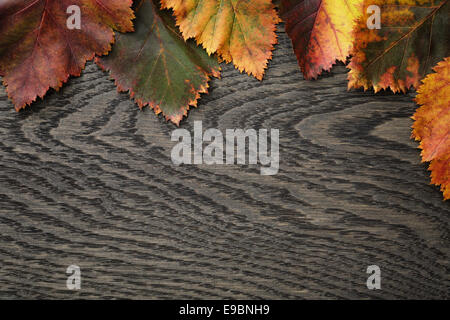 Herbst Weißdorn Blätter auf alten Eichentisch direkt von oben Stockfoto