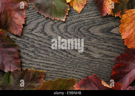 Herbst Weißdorn Blätter auf alten Eichentisch direkt von oben Stockfoto