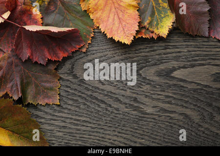 Herbst Weißdorn Blätter auf alten Eichentisch direkt von oben Stockfoto