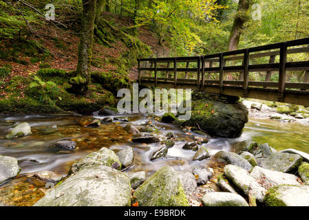Holzbrücke über Lager ghyll Kraft in der Nähe von Ambleside im Lake District National Park