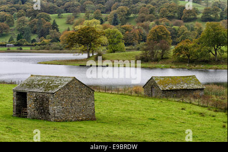 Alte Stein Scheunen in einem Feld in der Nähe von thirlmere im Nationalpark Lake District, Cumbria Stockfoto