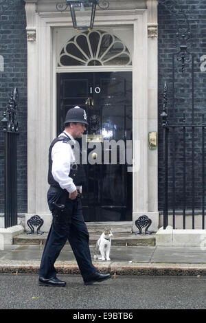 Larry sitzt die Katze vor der Tür der 10 Downing Street in London Westminster, während Premierminister David Cameron entfernt ist Stockfoto