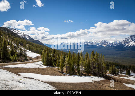 Skigebiet Lake Louise, Banff Nationalpark, Alberta, Kanada. Stockfoto