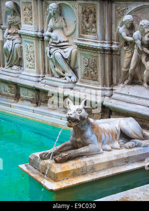 Fonte Gaia, Quelle der Freude, Piazza del Campo, Siena, Italien Stockfoto