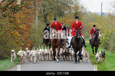 Leicestershire, UK. 24. Oktober 2014. Quorn Jäger Peter Collins führt zu der erste Trail - Beginn der Jagdsaison Fuchs - Quorn Jagd Öffnung treffen auf die Zwinger der Hunde. Bildnachweis: Nico Morgan/Alamy Live-Nachrichten Stockfoto