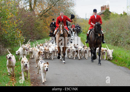 Leicestershire, UK. 24. Oktober 2014. Quorn Jäger Peter Collins führt zu der erste Trail - Beginn der Jagdsaison Fuchs - Quorn Jagd Öffnung treffen auf die Zwinger der Hunde. Bildnachweis: Nico Morgan/Alamy Live-Nachrichten Stockfoto