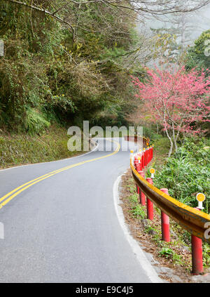 Kurvenreiche Panoramastraße in Taiwan Stockfoto