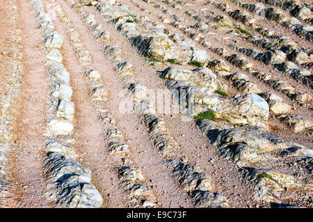 Sedimentgesteine Muster in Zumaia, benannt Flysch Stockfoto