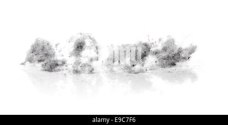 Staub-Hasen auf weißem Hintergrund reflektiert Stockfoto