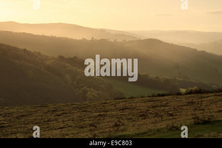 Herbstlichen Sonnenuntergang mit dunstigen Licht über das Usk-Tal in der Nähe von Brecon in Wales Stockfoto