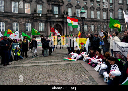 Kopenhagen, Dänemark. 24. Oktober 2014. Kurdische Solidaritätskundgebung am Bundesplatz in Kopenhagen, protestiert gegen türkische Untätigkeit gegenüber islamischen Staat Krieg in Kobani. Sie fordern, dass die Türkei öffnet seine Grenze für kurdische Kämpfer und Nothilfe, Kobani Credit: OJPHOTOS/Alamy Live News Stockfoto