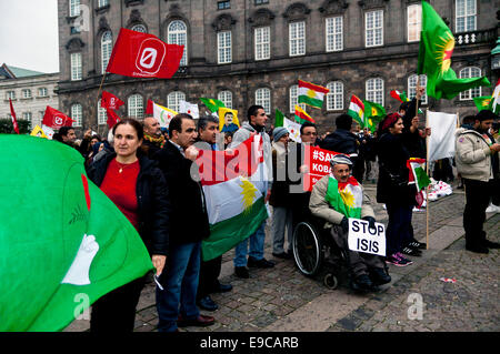 Kopenhagen, Dänemark. 24. Oktober 2014. Kurden in Solidarität rally auf dem Bundesplatz in Kopenhagen. Sie fordern Türkei öffnen ihre Grenzen für kurdische Kämpfer und Nothilfe, Kobani Credit: OJPHOTOS/Alamy Live News Stockfoto