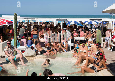 Mascalzone, Rock ' n Roll, Festival, Summer Jamboree 2014, Senigallia Stockfoto