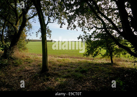 Blick vom The Goring-Gap-Ilex Ackerland, die Göring durch Meer Ferring West Sussex Bereich angedroht werden viele Häuser zu bauen Stockfoto