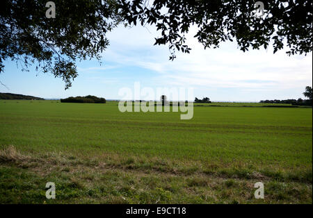 Blick vom The Goring-Gap-Ilex Ackerland, die Göring durch Meer Ferring West Sussex Bereich angedroht werden viele Häuser zu bauen Stockfoto