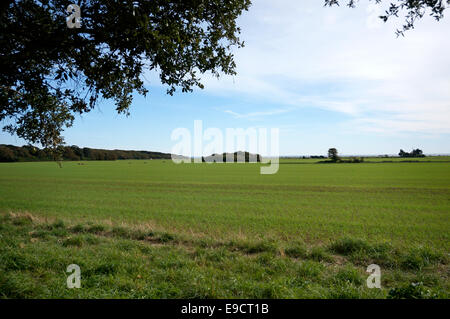 Blick vom The Goring-Gap-Ilex Ackerland, die Göring durch Meer Ferring West Sussex Bereich angedroht werden viele Häuser zu bauen Stockfoto