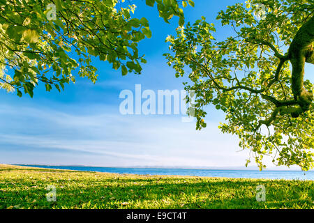Meerblick vom Park umrahmt von grünen Bäumen und Rasen, sonnig Stockfoto