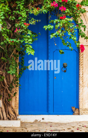 Eine Katze sitzt direkt vor der Haustür von einem typischen blauen Haustür in Sidi Bou Said, Tunesien. Stockfoto