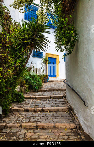 Steile, schmale, gepflasterte Gasse in Sidi Bou Said, Tunesien. Stockfoto