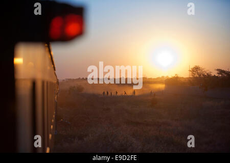 Sonnenuntergang in der Royal Livingstone Express Luxuszug. Die Dampflokomotive 156 ist eine 10. Klasse ursprünglich Zugehörigkeit zu den Zamb Stockfoto