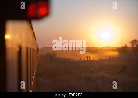 Sonnenuntergang in der Royal Livingstone Express Luxuszug. Die Dampflokomotive 156 ist eine 10. Klasse ursprünglich Zugehörigkeit zu den Zamb Stockfoto