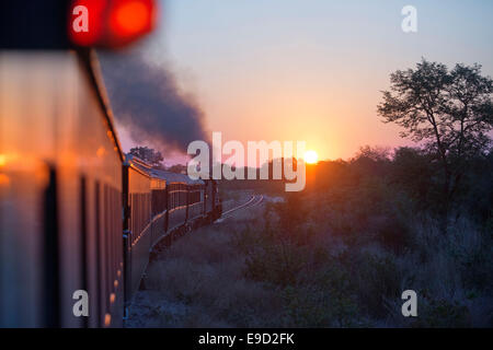 Sonnenuntergang in der Royal Livingstone Express Luxuszug. Die Dampflokomotive 156 ist eine 10. Klasse ursprünglich Zugehörigkeit zu den Zamb Stockfoto